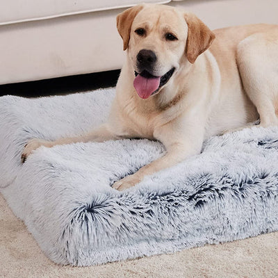 Large Dog Bed – Cloud Plus Size