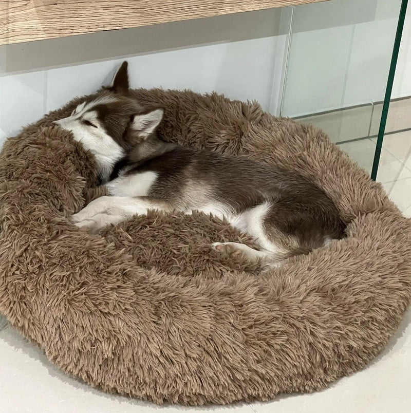 RelaxPet Anti-Anxiety Bed