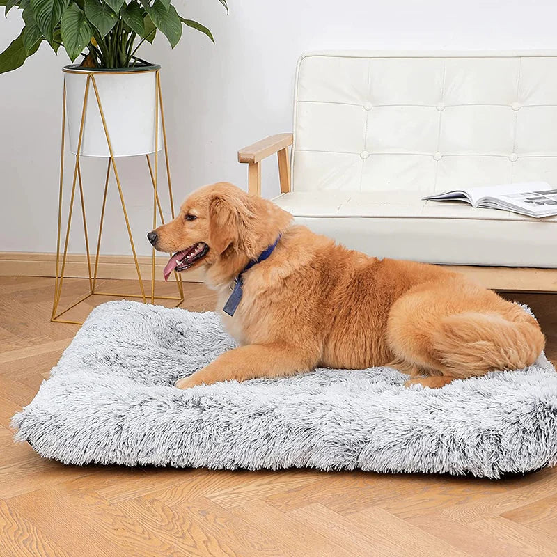 Large Dog Bed – Cloud Plus Size