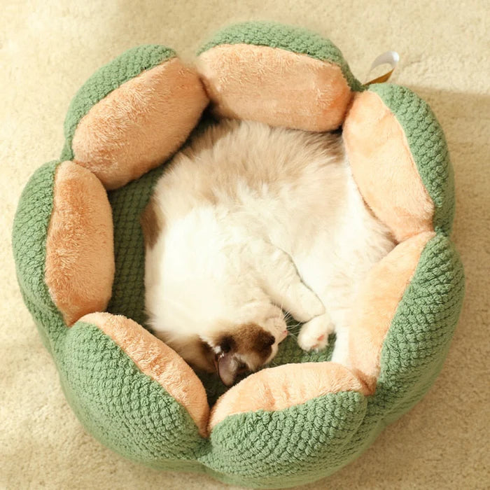 Florzinha Pet Pouffe