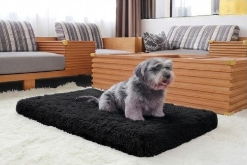 Large Dog Bed – Cloud Plus Size
