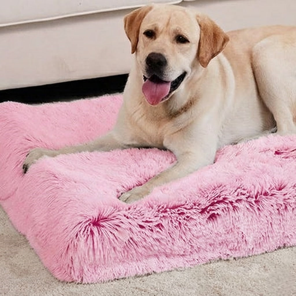 Large Dog Bed – Cloud Plus Size