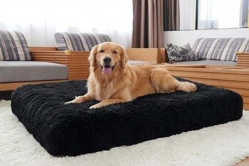 Large Dog Bed – Cloud Plus Size