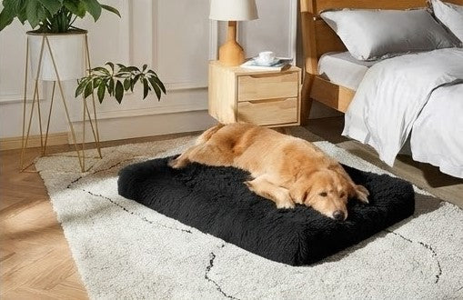 Large Dog Bed – Cloud Plus Size